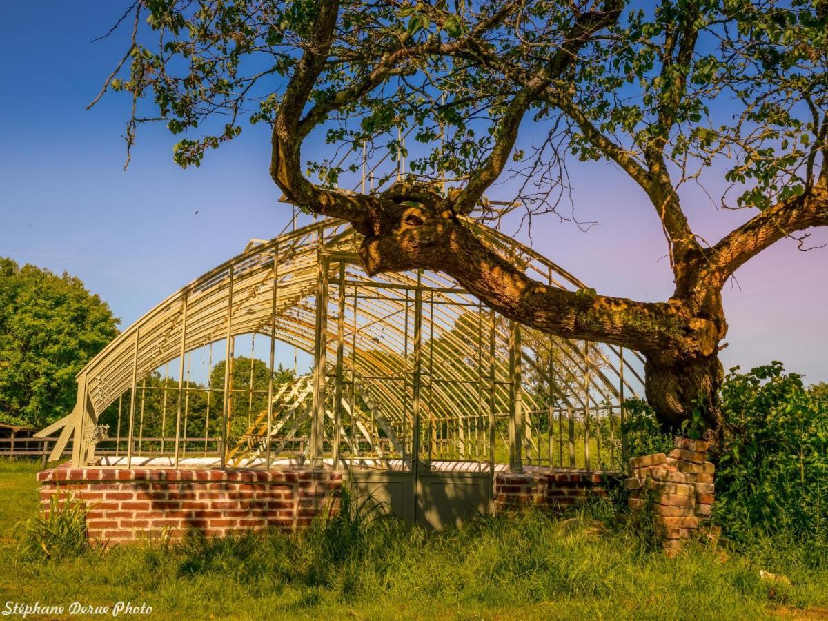 Chateau De Saint-Germain Dış mekan fotoğraf